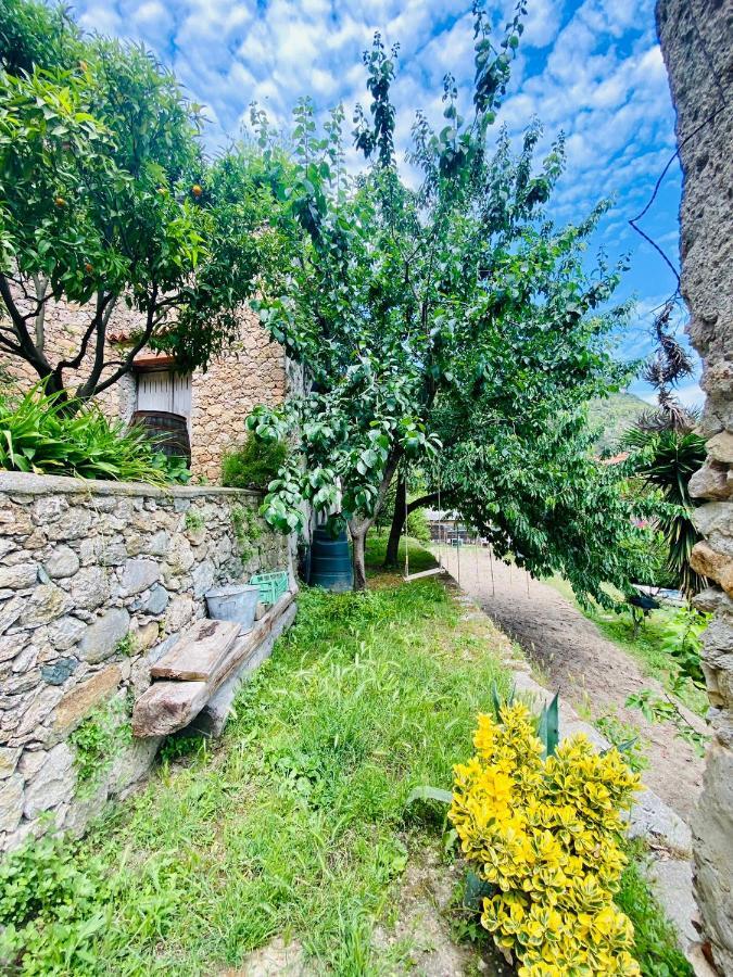Hostdomus - Villa Cassi Finale Ligure Esterno foto