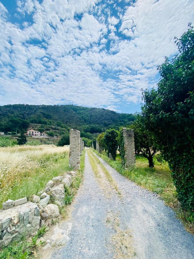 Hostdomus - Villa Cassi Finale Ligure Esterno foto